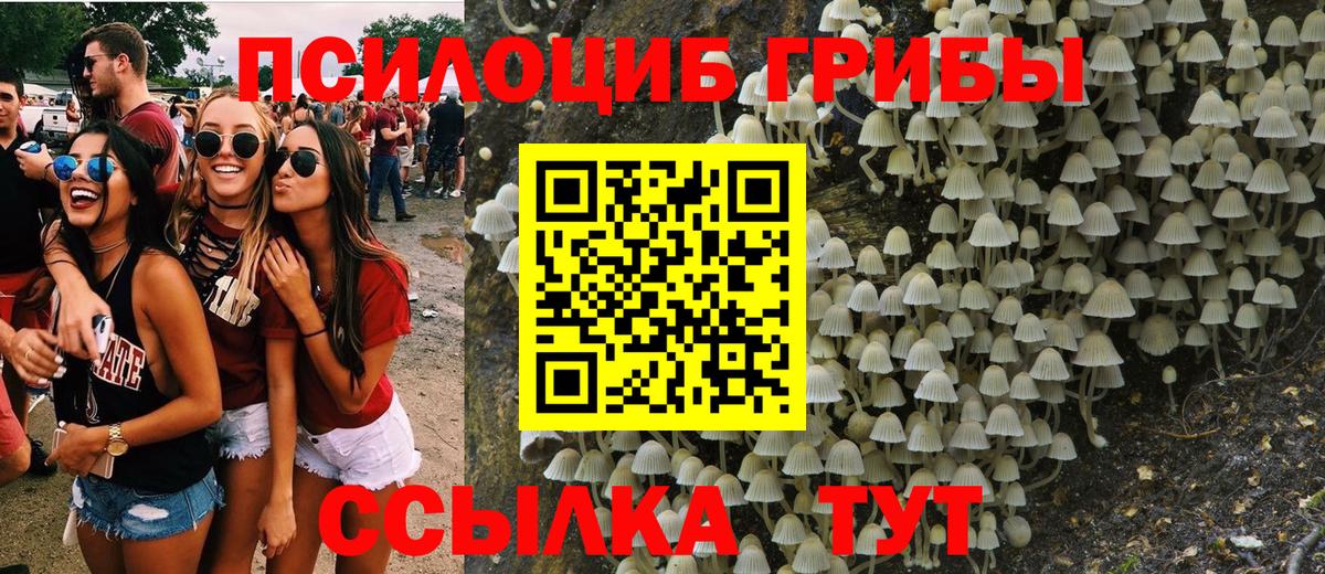 Павловский Посад  Галлюциногенные грибы прущие грибы  Вход с VPN  Псилоцибиновые грибы Psilocybine cubensis 
