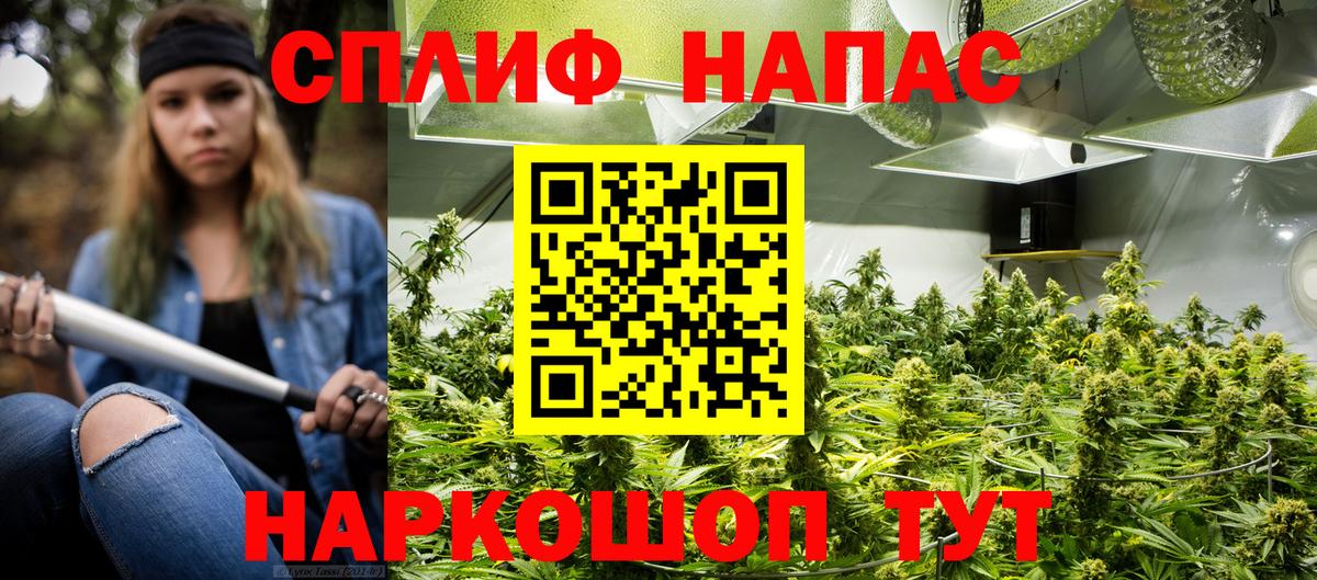 Павловский Посад  Марихуана THC 21%  Вход с VPN  Канабис семена  Бошки марихуана семена 